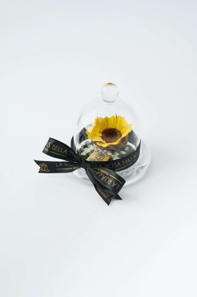 Girasol mini en Bombonera de cristal