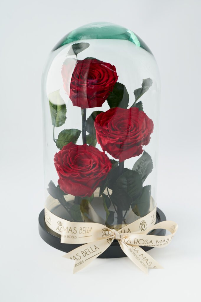 3 Rosas En Cristal