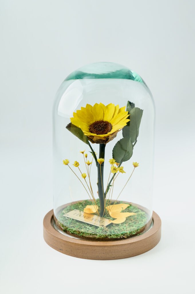 Girasol Cúpula de Cristal CH