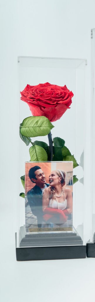 Rosa con fotografía Chica