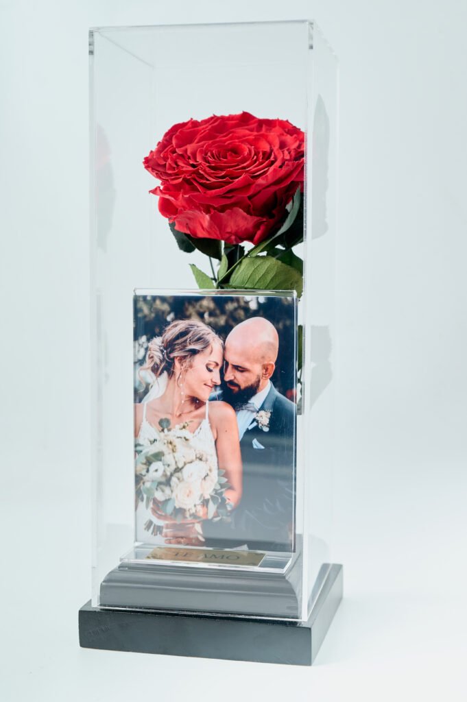 Rosa con fotografía Grande